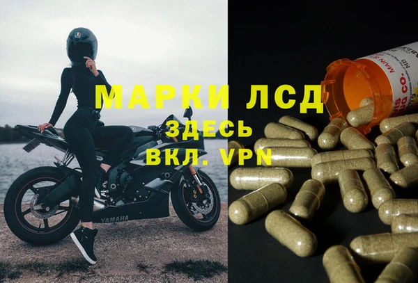 соль ск Арсеньев