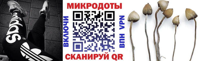 наркотики  Орехово-Зуево  Псилоцибиновые грибы Psilocybe 